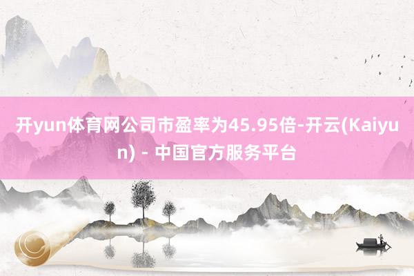 开yun体育网公司市盈率为45.95倍-开云(Kaiyun) - 中国官方服务平台