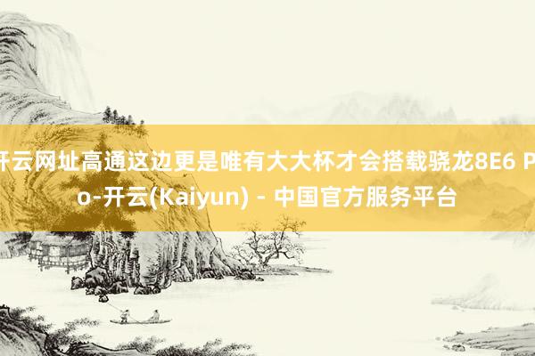 开云网址高通这边更是唯有大大杯才会搭载骁龙8E6 Pro-开云(Kaiyun) - 中国官方服务平台