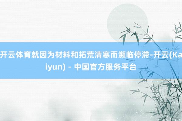 开云体育就因为材料和拓荒清寒而濒临停滞-开云(Kaiyun) - 中国官方服务平台