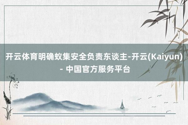开云体育明确蚁集安全负责东谈主-开云(Kaiyun) - 中国官方服务平台